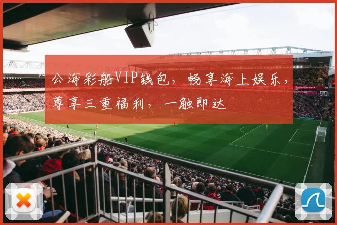 公海彩船VIP钱包，畅享海上娱乐，尊享三重福利，一触即达