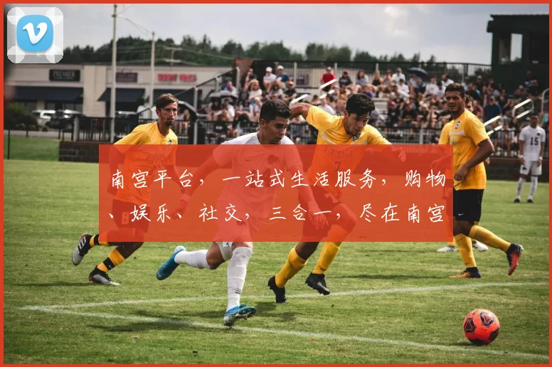 南宫平台，一站式生活服务，购物、娱乐、社交，三合一，尽在南宫，体验非凡