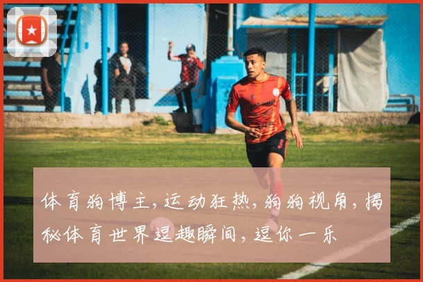 体育狗博主,运动狂热,狗狗视角,揭秘体育世界逗趣瞬间,逗你一乐