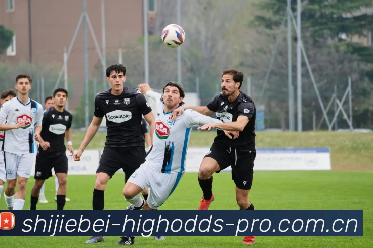 体育直播服务
